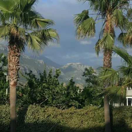 Couette-café Il Tuffatore *