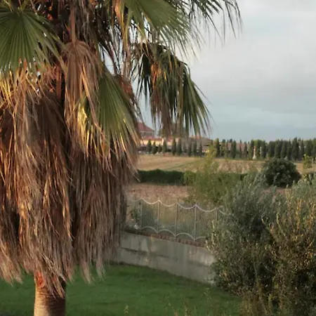Il Tuffatore