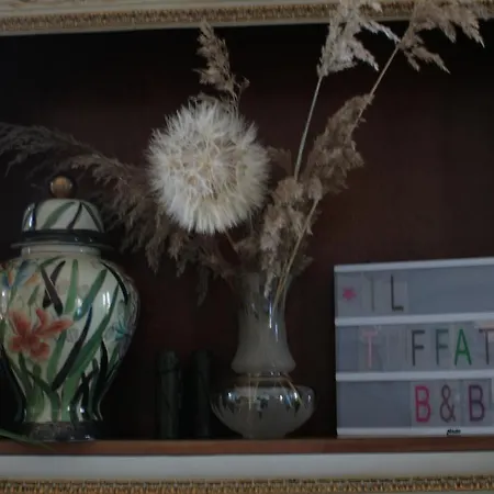Il Tuffatore Bed & Breakfast *