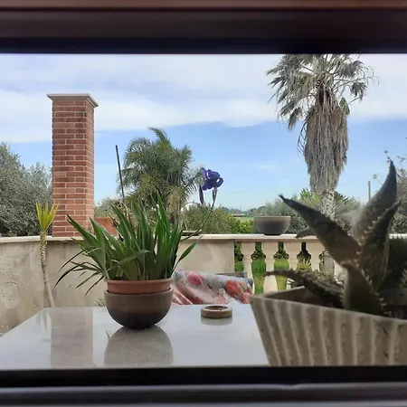 Il Tuffatore Bed & Breakfast Capaccio