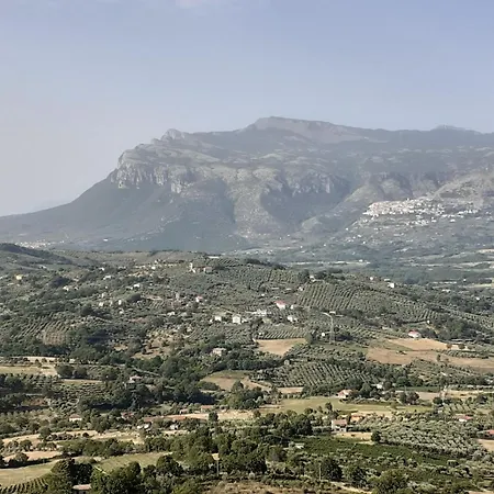 Il Tuffatore